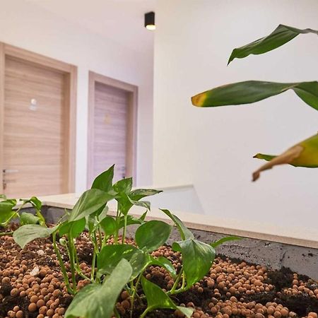 Boutique Garden Rooms Dubrovnik Exteriör bild