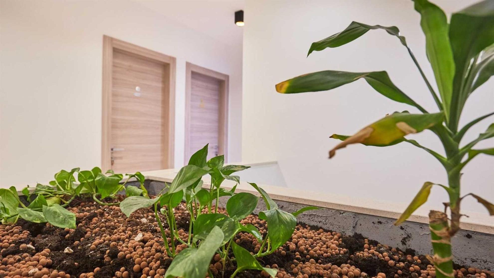 Boutique Garden Rooms Dubrovnik Exteriör bild